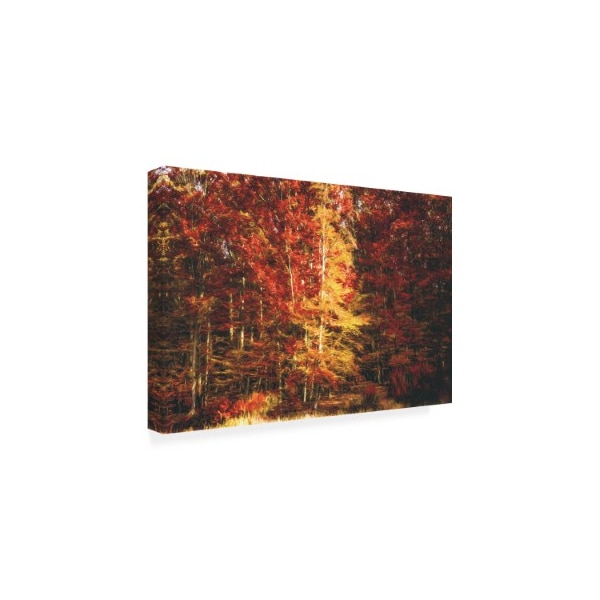 Philippe Sainte Laudy 'Flaming Forest' Canvas Art,16x24